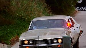 seventiesploitation retro pornodrome with hairy pussy gangbang orgy in vintage group blowjob cumshot action