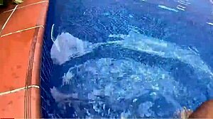 sexo en el agua con nalgona masturbandose sorprendida en la piscina