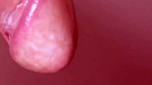 Japanese Wife Cheating With Cum In Mouth Close Up