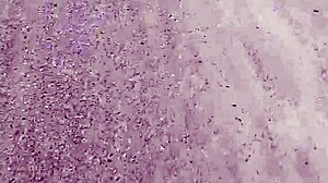 Blonde milf bbw flashes huge ass in lingerie outdoors. Stranger follows and lifts her skirt on public street for taboo thrill.