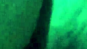 Do you want to open my virgin wet pussy and lick it until I cum? This chubby latina in lingerie uses dildo for first homemade solo play.