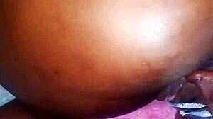 Hey, let's talk about adopting a doggy from the shelter