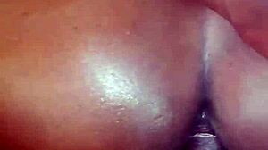 Hey, let's talk about adopting a doggy from the shelter