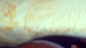 Hey, let's talk about adopting a doggy from the shelter