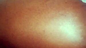 Hey, let's talk about adopting a doggy from the shelter