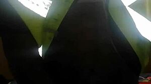 Hey, let's talk about adopting a doggy from the shelter