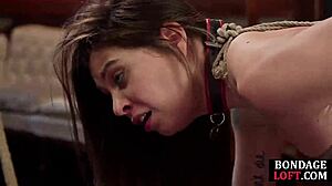 Submissive tattooed slut in bondage endures rough pussy whipping and maledom discipline with femdom elements