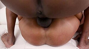 Busty milf Sexy Susi feels overwhelming ecstasy in double anal with 4 cocks