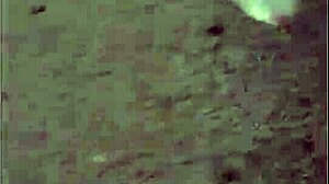 following mature milf in street with skirt and thong for big ass view