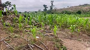 Farm Fucking Adventure Part 2