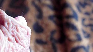 Big Clit Pulsing In Intense Orgasm Closeup View