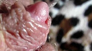 Big Clit Pulsing In Intense Orgasm Closeup View