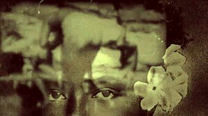 Dark Lantern Entertainment unveils vintage erotic confessions from My Secret Life! The Victorian gentleman's hairy pussy adventures await.