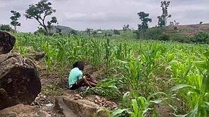 Farm Fucking Adventure Part 2