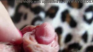 Big Clit Pulsing In Intense Orgasm Closeup View