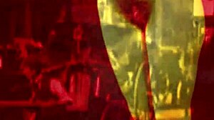 Wow! Vintage Erotic Art Shows Hairy Beaver and Pussy in Antique Style!