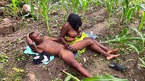 Farm Fucking Adventure Part 2