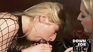 Down for bbc - heather gables takes giant bbc in butthole!