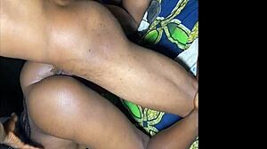 Nixie Perfect Curve Ameatur