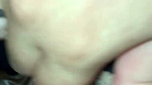 Quick Compilation Of Bbw Wife Pussy And Cock Cum