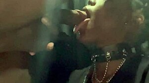 Throat Training Kookiie Chronicles With Petite Ebony Taking Huge Cock Deep