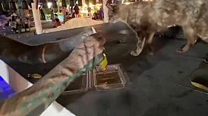 Nothing to see here, just a Thai lady feeding stray cats in a casual moment.
