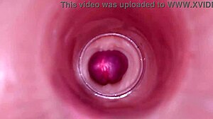 Can You Imagine An Internal Camera Capturing Deep Male Ejaculation For Female Insemination In Tight Wet Pussy?