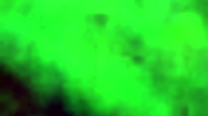 Why Not Join My Bro in Hardcore Sex with Dominican Prostitute?