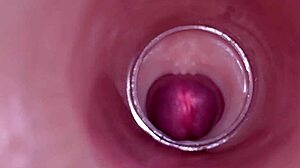 Can You Imagine An Internal Camera Capturing Deep Male Ejaculation For Female Insemination In Tight Wet Pussy?