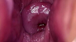 My Pussy Is Very Breedable