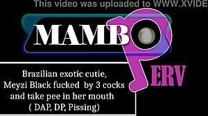 Brazilian exotic cutie Meyzi Black takes on three cocks with double penetration and pissing in her mouth