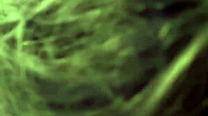 Good cock sucking session