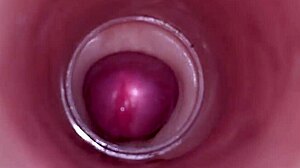 Can You Imagine An Internal Camera Capturing Deep Male Ejaculation For Female Insemination In Tight Wet Pussy?