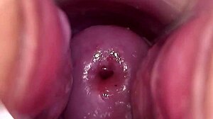 My Pussy Is Very Breedable