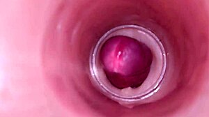 Can You Imagine An Internal Camera Capturing Deep Male Ejaculation For Female Insemination In Tight Wet Pussy?