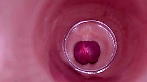 Can You Imagine An Internal Camera Capturing Deep Male Ejaculation For Female Insemination In Tight Wet Pussy?