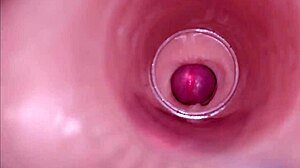Can You Imagine An Internal Camera Capturing Deep Male Ejaculation For Female Insemination In Tight Wet Pussy?