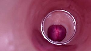 Can You Imagine An Internal Camera Capturing Deep Male Ejaculation For Female Insemination In Tight Wet Pussy?