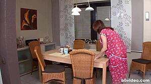 what's this hausfrauen 5 all about