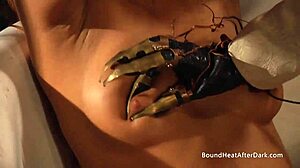 i'm this curvy handstied lesbian slave moaning loud as dom madame fingers me to orgasm