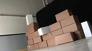 Roller Skates And Thigh High Fishnets As Cindy Behr Rides Cock With Anal Fingering