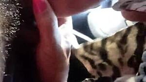 Rapidinha No Carro With Brazilian Shemale Oral Action