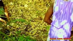 Best BBW African wife does big tits job on big black cock. She takes doggystyle pussy fucking in hairy action.