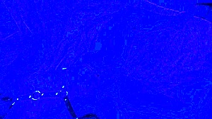 Submissive milf gives blowjob in close up view. She swallows cum in homemade couple scene.