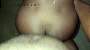 i feel subtle curiosity when hot visitor arrives at single man's place watch full video on sheer or membership