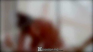 Dialogic-Provocative Passion-hd, how does a pong game turn into naughty blowjob sex with jenna jay?