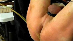 Detailed Overview of Sp239 Combined Elements and Features