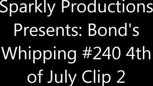 Detailed Overview of Sp239 Combined Elements and Features