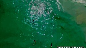 i can't believe lifeguards sienna day and silvia dellai are sucking that dick in ffm threesome...