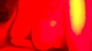 Sensual girl, you ready to suck this big cock deepthroat style?